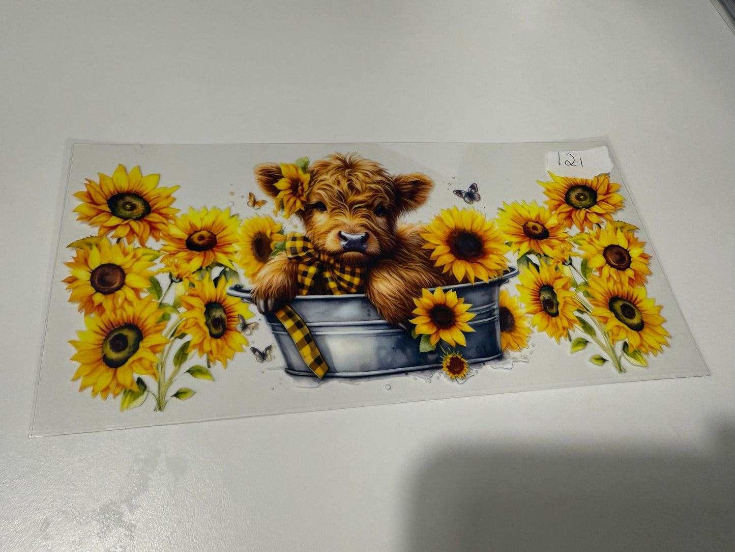 16oz Highland Cows Wraps for Tumblers